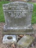 image of grave number 348595